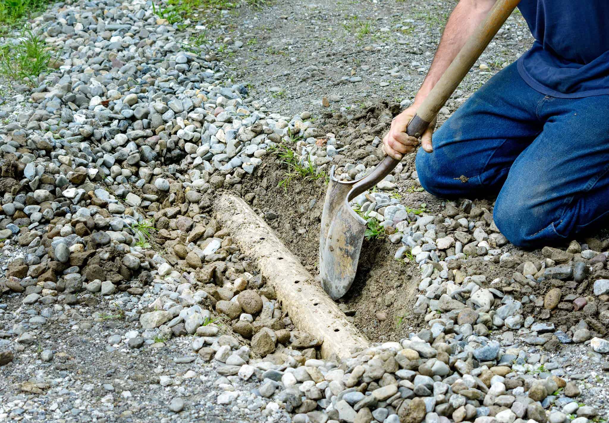 Eco-Friendly Ways to Fix a Waterlogged Garden